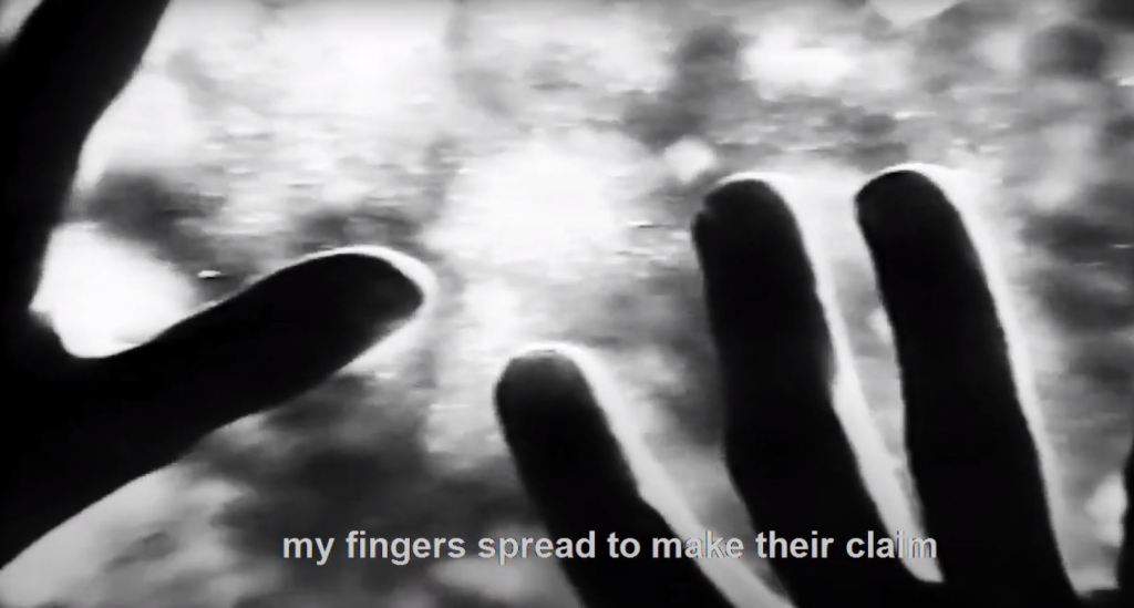 Whose Hands Are&nbsp;These?